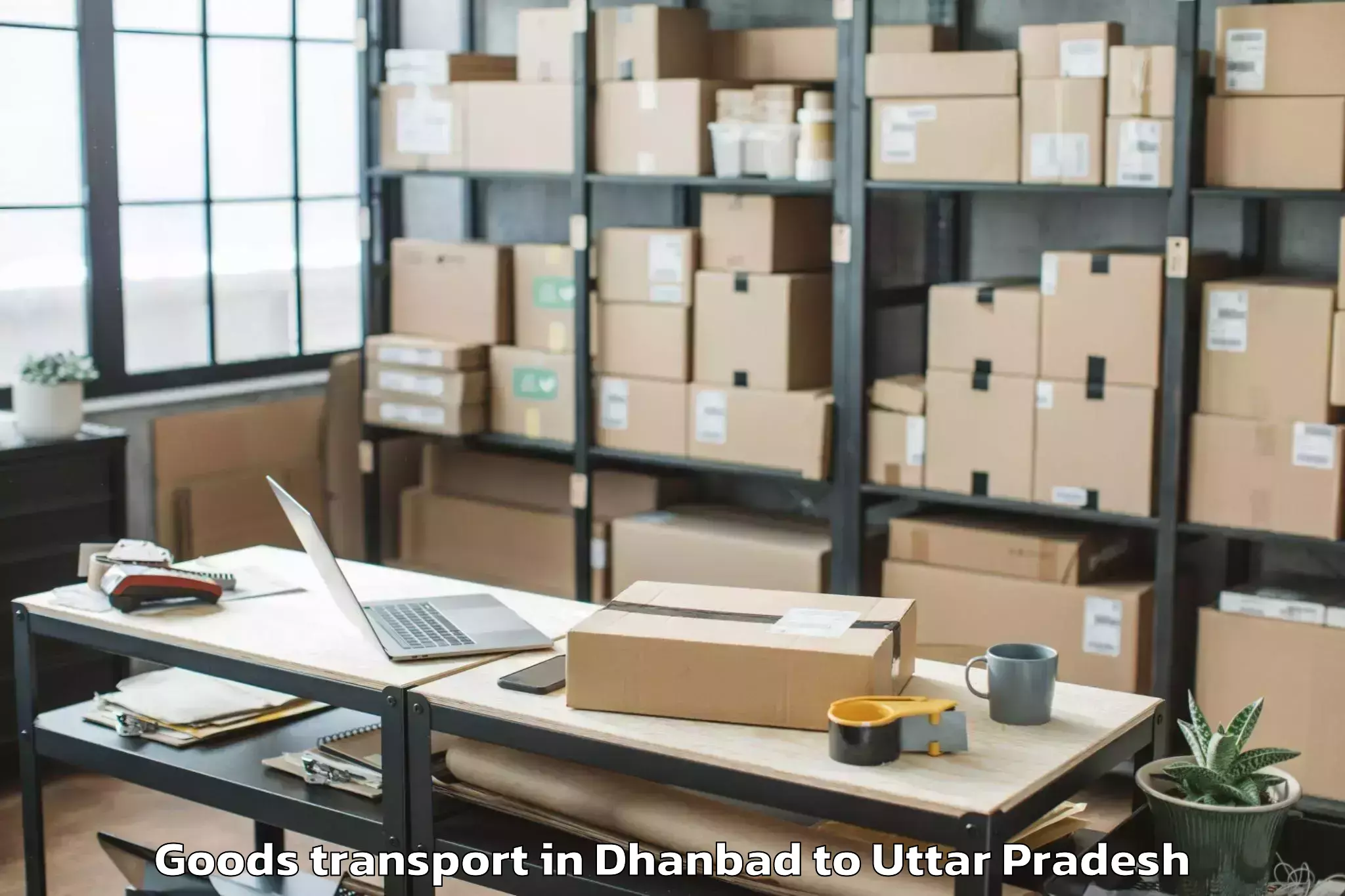 Top Dhanbad to Musafirkhana Goods Transport Available